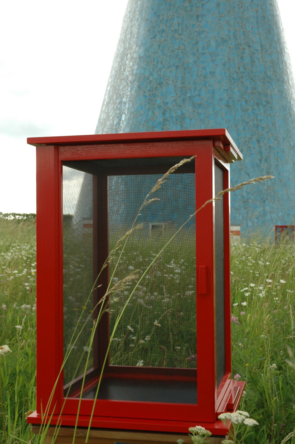 Raupen Zuchtkäfig
